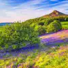 Campsites near Roseberry Topping