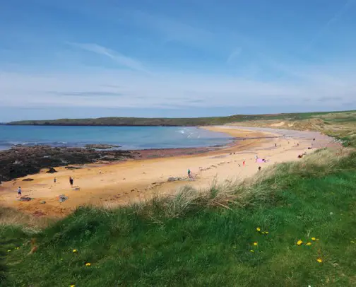 Campsites near Freshwater West Beach Campsites near Freshwater West Beach