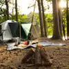 Woodland and forest campsites in Devon
