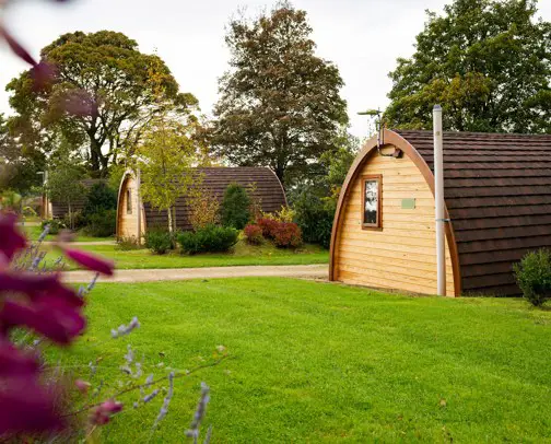 Camping and glamping pods with hot tubs in the New Forest