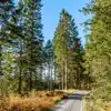 Glamping near Galloway Forest Park