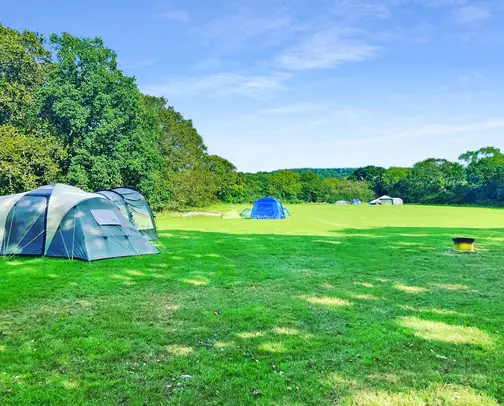 Campsites in Sherborne