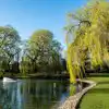 Campsites in Epsom