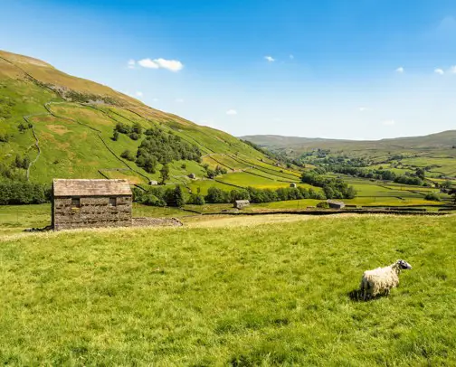 Adult only campsites in the Yorkshire Dales