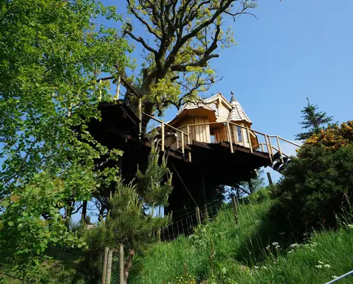 Treehouse holidays in South East England Treehouse holidays in South East England