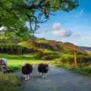 5 star campsites in North West England