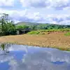 Caravan parks near Hawes 