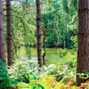 Delamere campsites