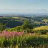 Campsites with electric hook up in Somerset