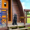 Dog friendly glamping pods