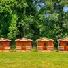 Glamping cabins near me
