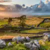 Campsites in East and North Yorkshire
