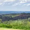 Campsites near Devil's Punch Bowl 