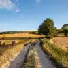 Campsites in Kent, Sussex and Surrey