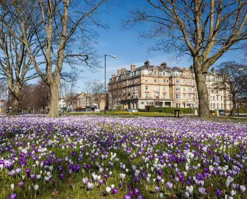 Harrogate campervan and motorhome sites