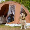 Campsites in Northumberland