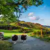 Campsites in Grasmere