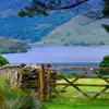 Campsites in Grizedale