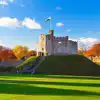 Cardiff campsites