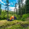 Woodland and forest campsites near me
