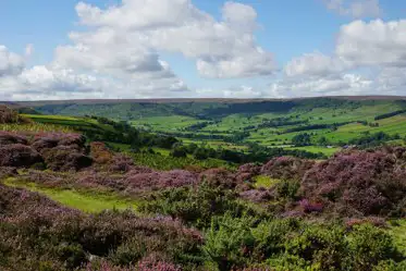 Campsites in Yorkshire