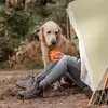 Dog friendly campsites in the Yorkshire Dales Dog friendly campsites in the Yorkshire Dales