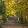 Campsites near Alice Holt Forest
