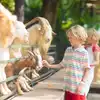 Dalscone Farm Fun
