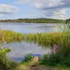 Campsites near Frensham Great Pond and Common