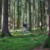 Campsites near Forest of Dean Cycle Centre Forest of Dean Cycle Centre