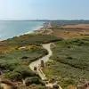 Campsites near Hengistbury Head