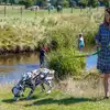Campsites with enclosed dog areas in Yorkshire Campsites with enclosed dog areas in Yorkshire