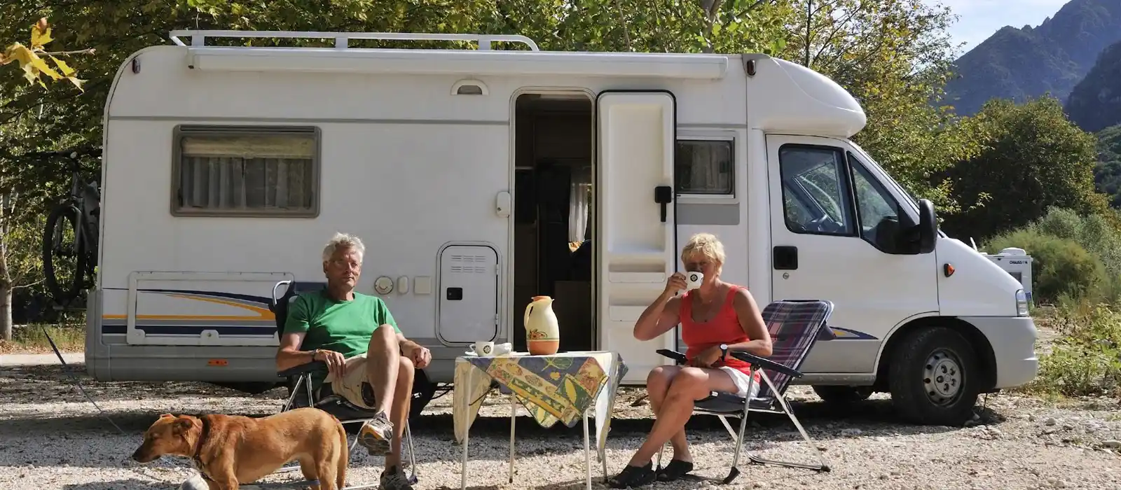 Caravan holidays with dogs