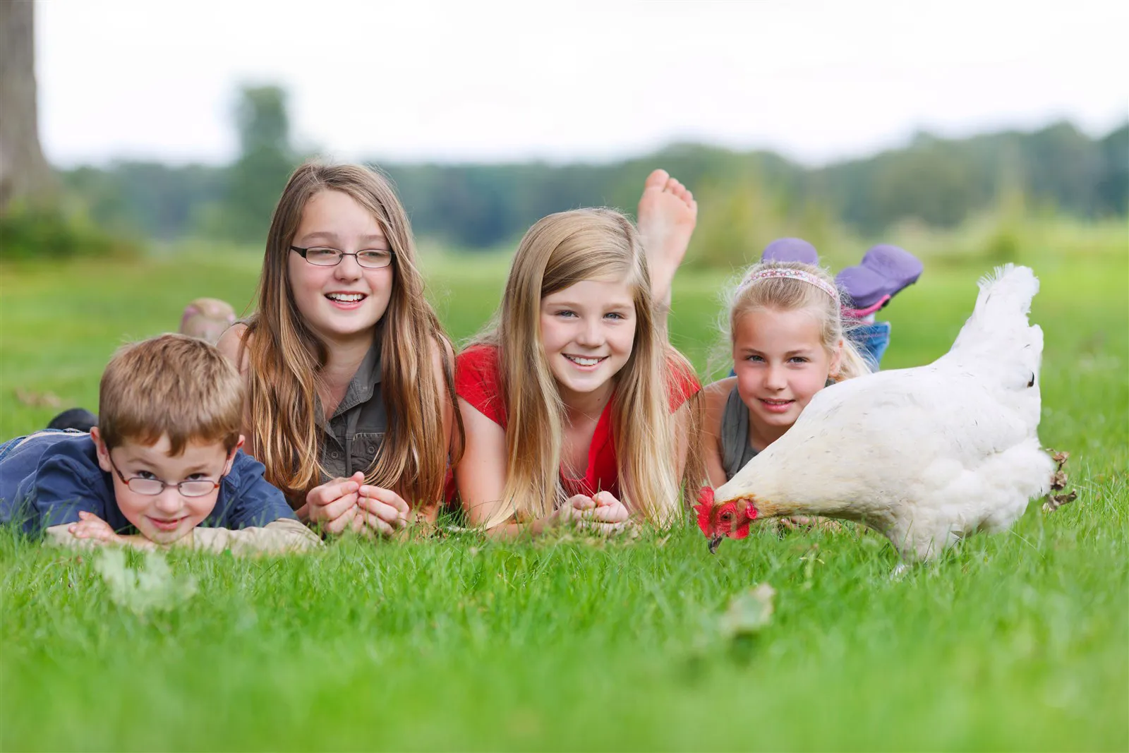 Farm holidays for children: Five practical tips