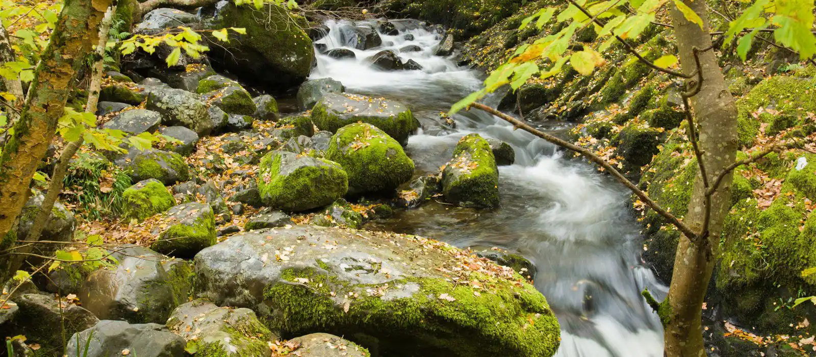 Aira Force Waterfall Walk