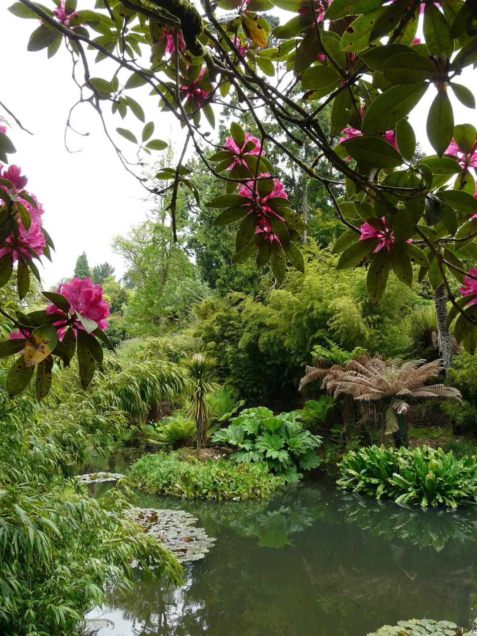 3 must-see gardens in Cornwall