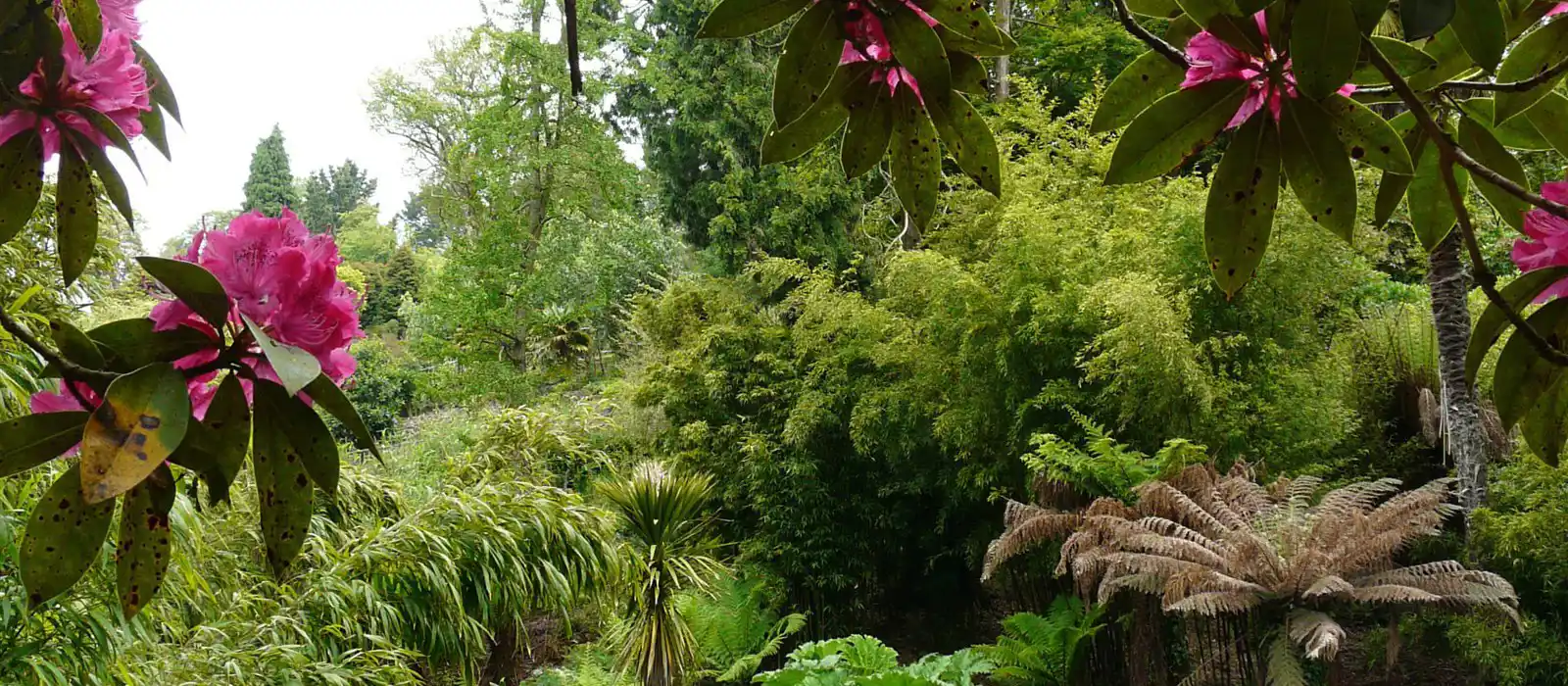 Lost Gardens of Heligan in Cornwall