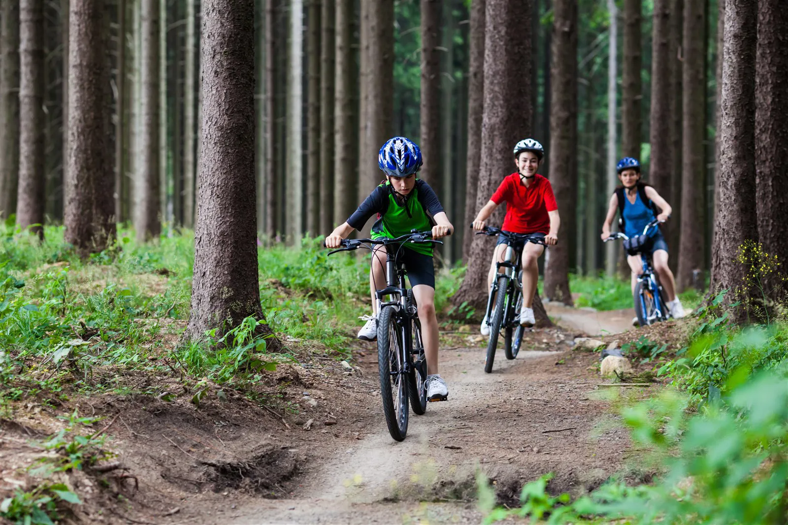 Our favourite New Forest cycle routes