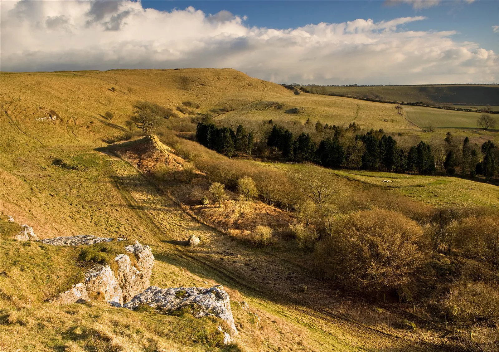 The best free things to do in Dorset