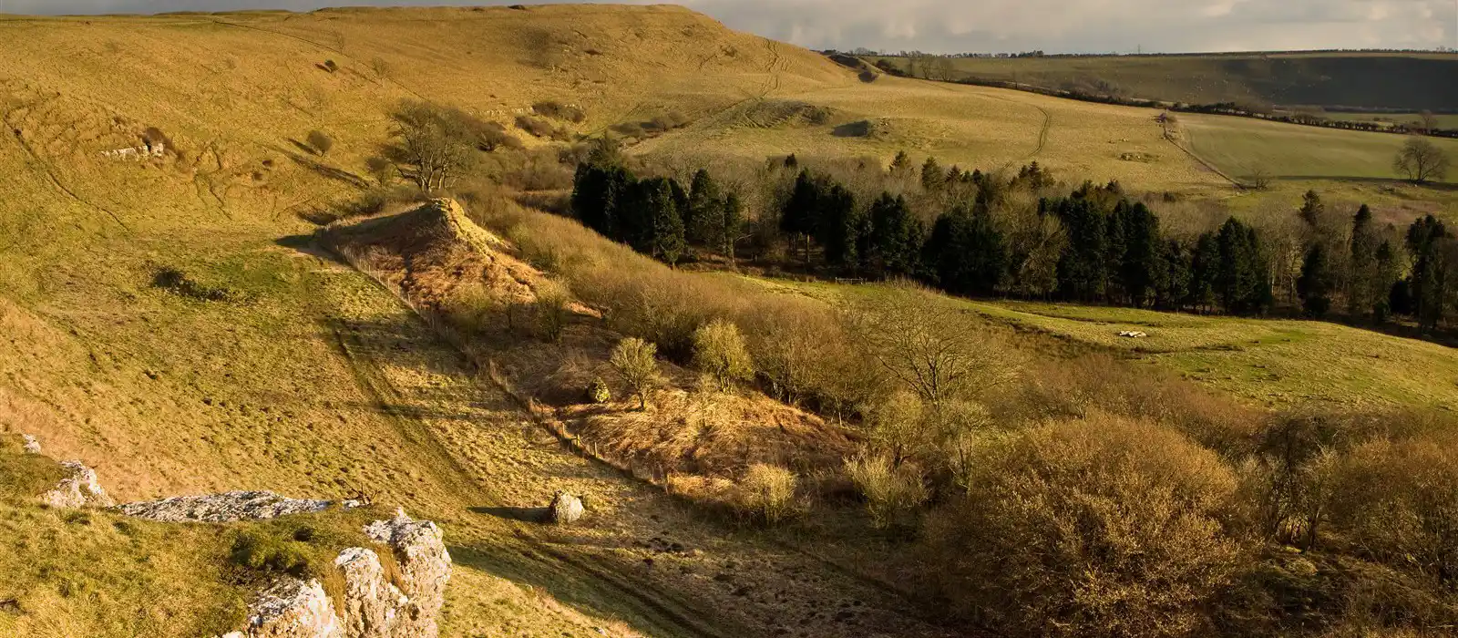 Eggardon Hill Fort in Dorset