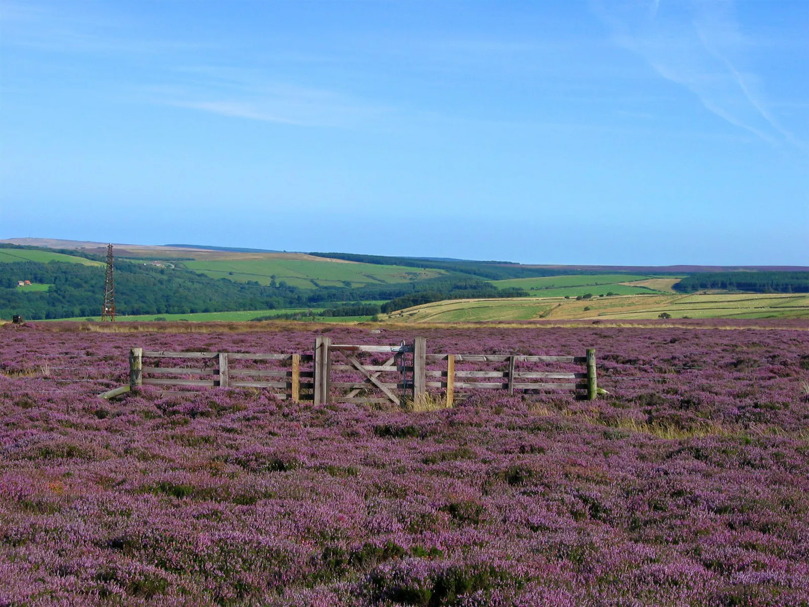 Inspirational North Yorkshire Moors walks you should try