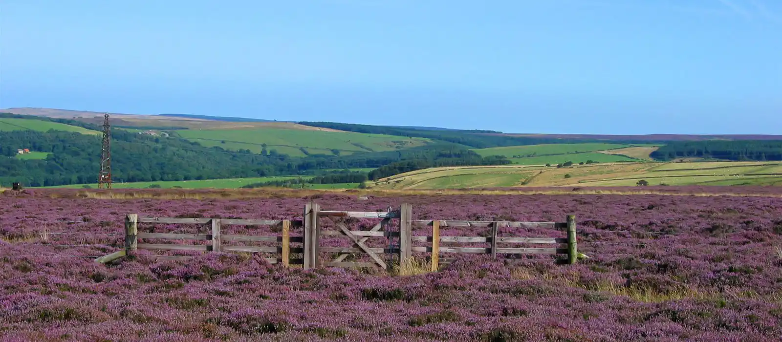 North Yorkshire Moors