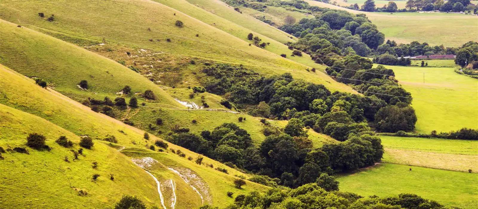 South Downs National Park in West Sussex