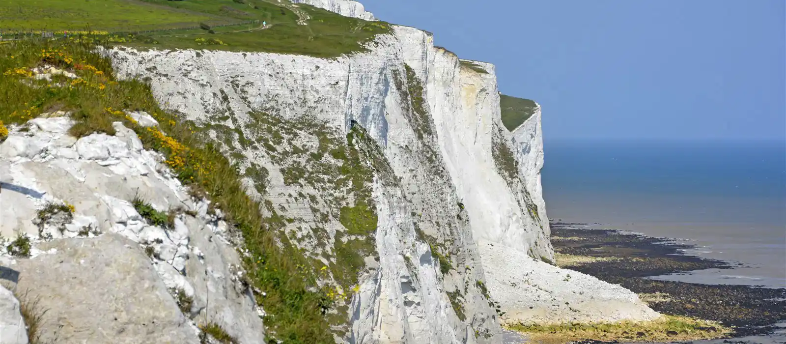 White Cliffs of Dover