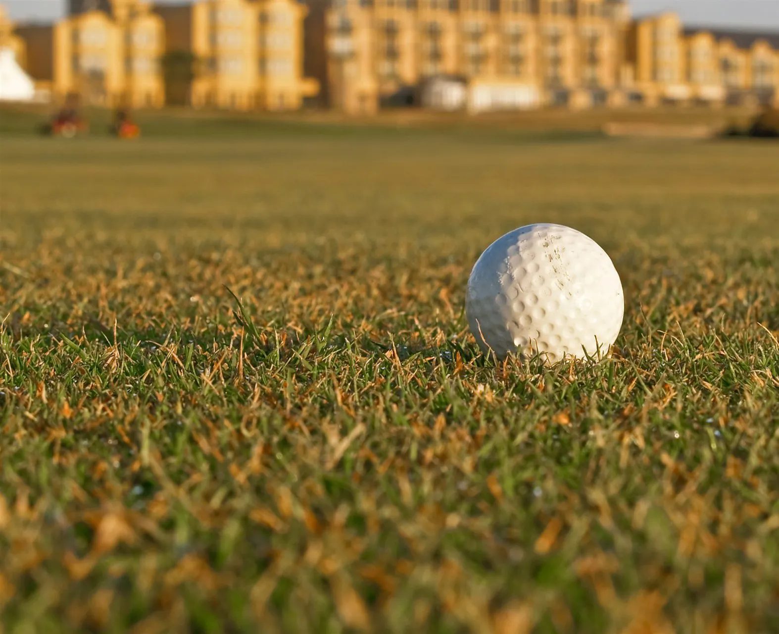 Northumberland Golf Courses