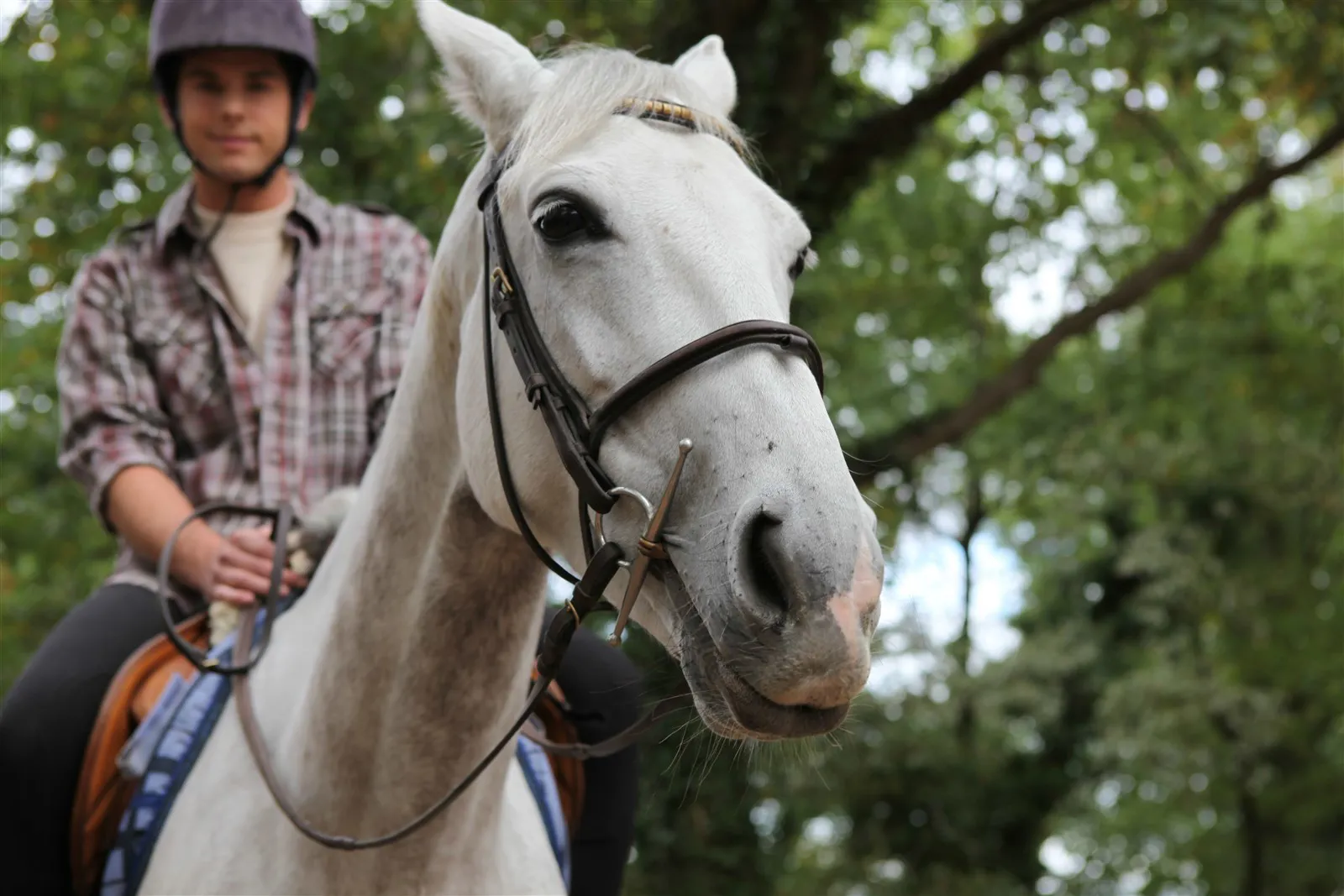 Everything you need to know about horse riding in Kent