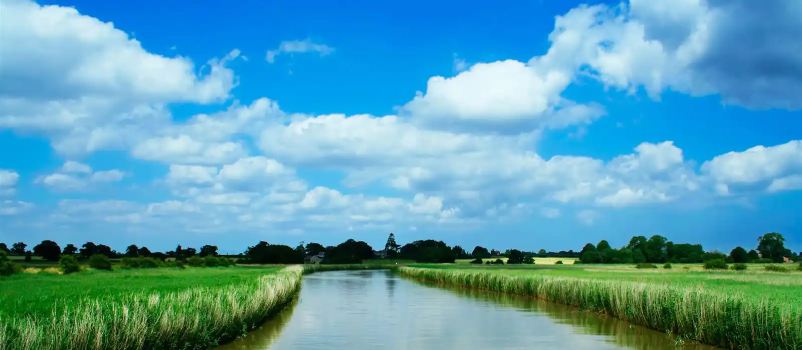 River views on the Norfolk Broads