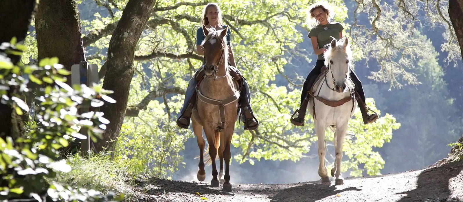 Horse riding in Devon