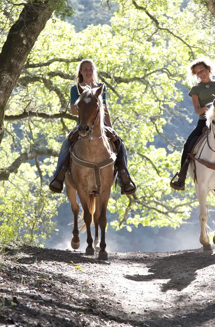 Horses Riding Devon Where to go horse riding in Devon