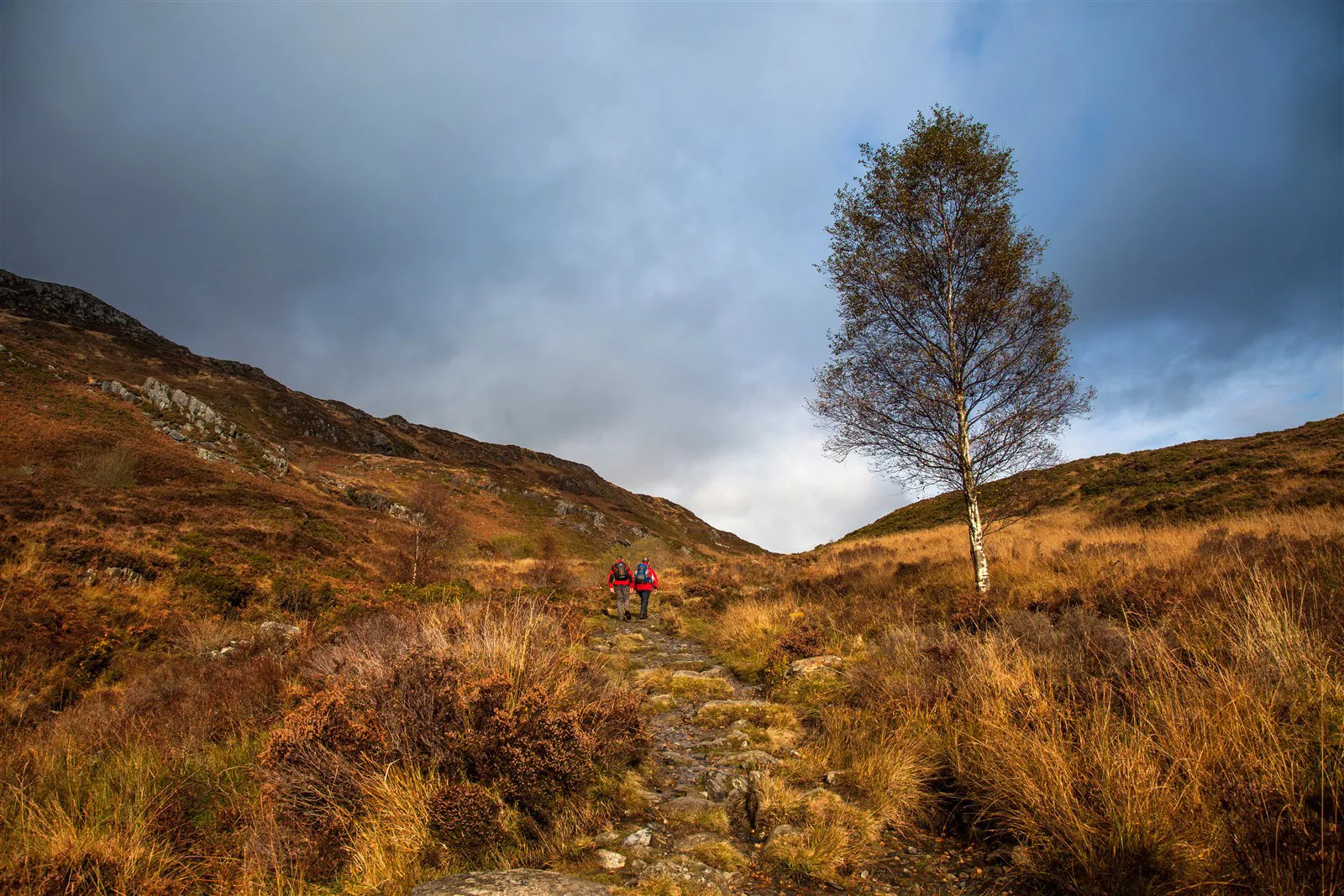 Our guide to wild camping in Wales